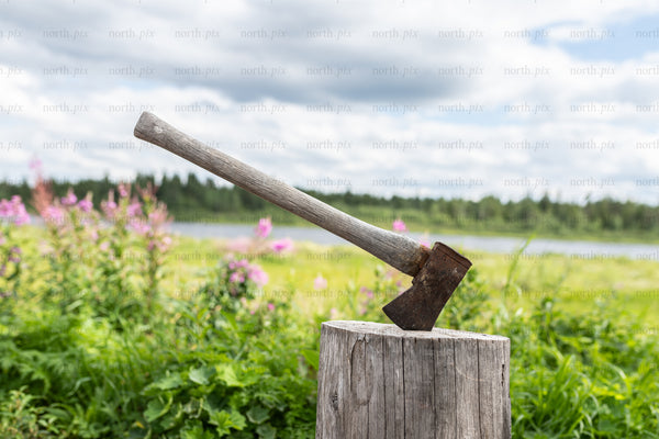 Axe embedded in stump by lakeshore in summer