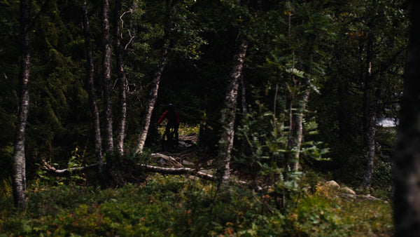 Mountain biker rides downhill in forest near waterfall in summer