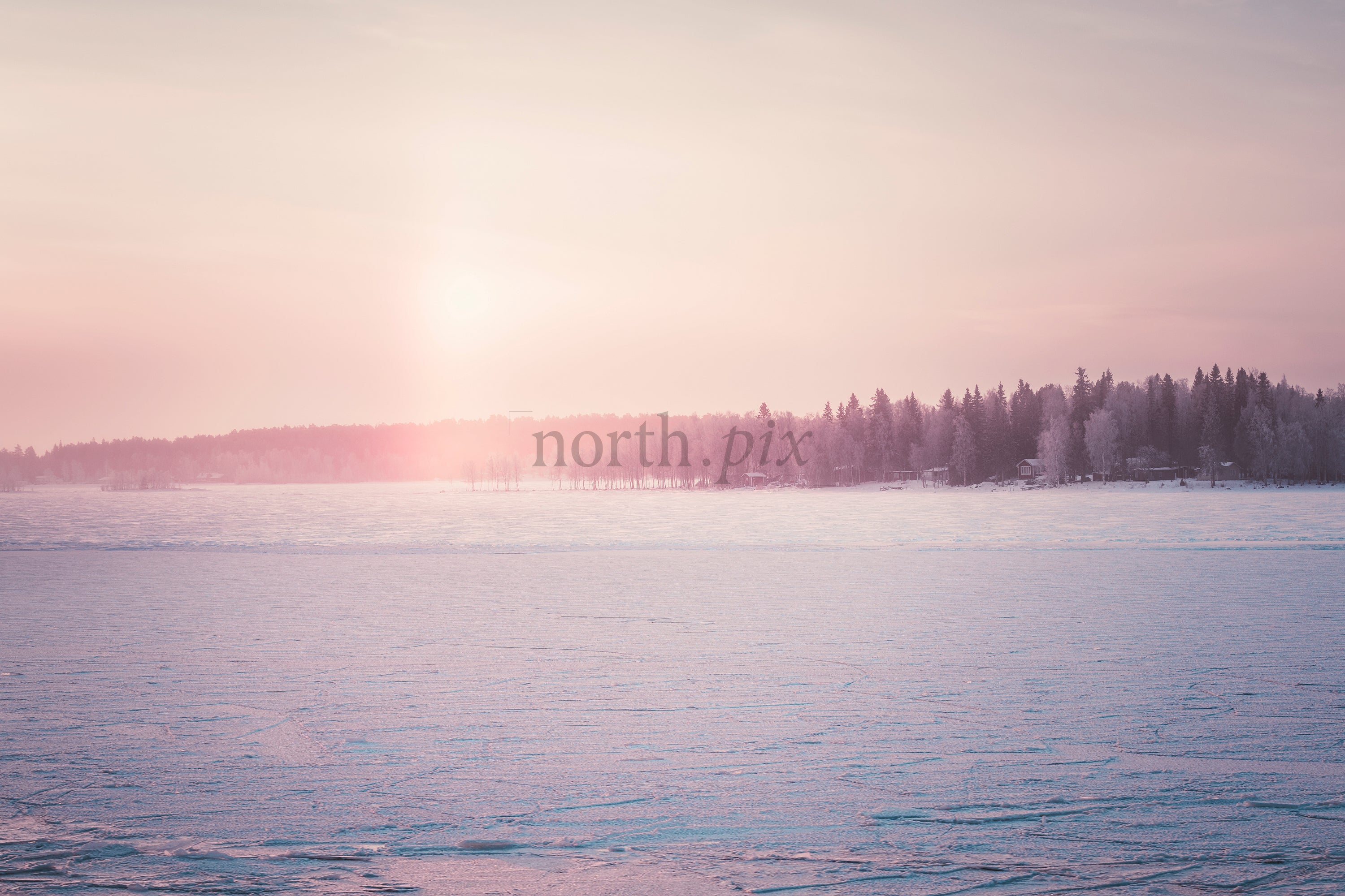Pastel Winter Sunrise Over Frozen Lake With Snowy Shoreline and Distant Pine Forest Cabins
