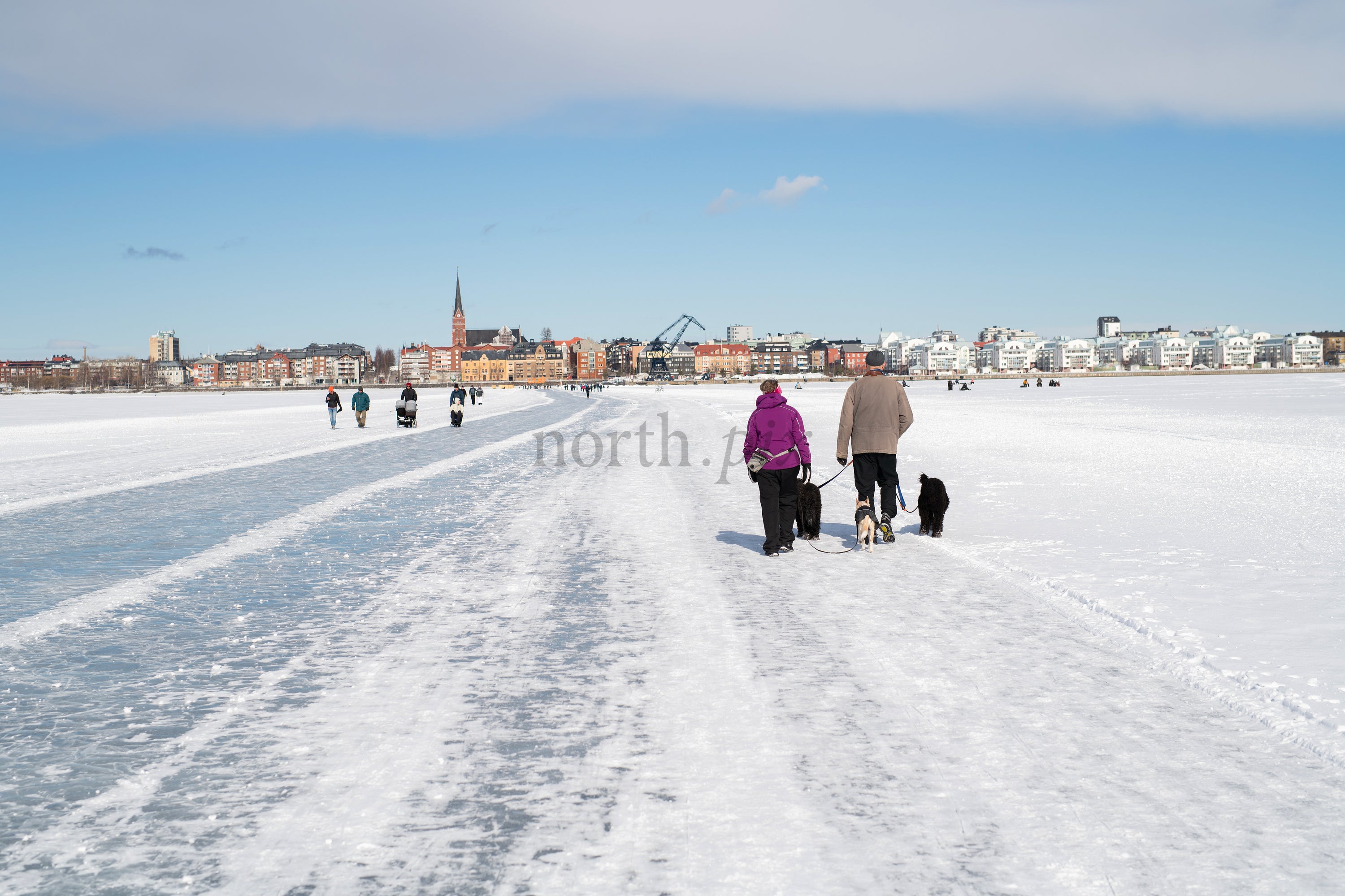 People walking dogs on frozen sea in winter