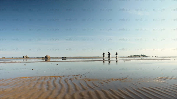 Group fat biking on wet sand at sandön archipelago beach in Luleå̊