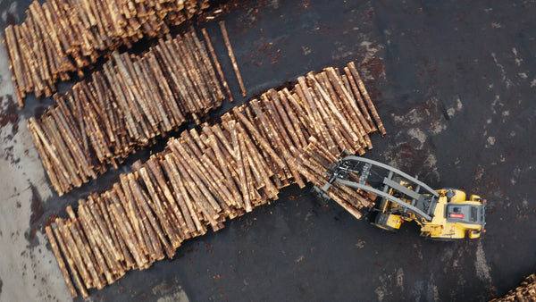 Aerial view of forestry industry site with logs and forklift