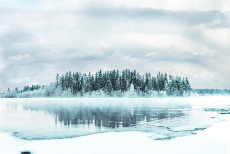 Snowy Pine Forest Reflected on a Calm Winter Lake Under Overcast Sky