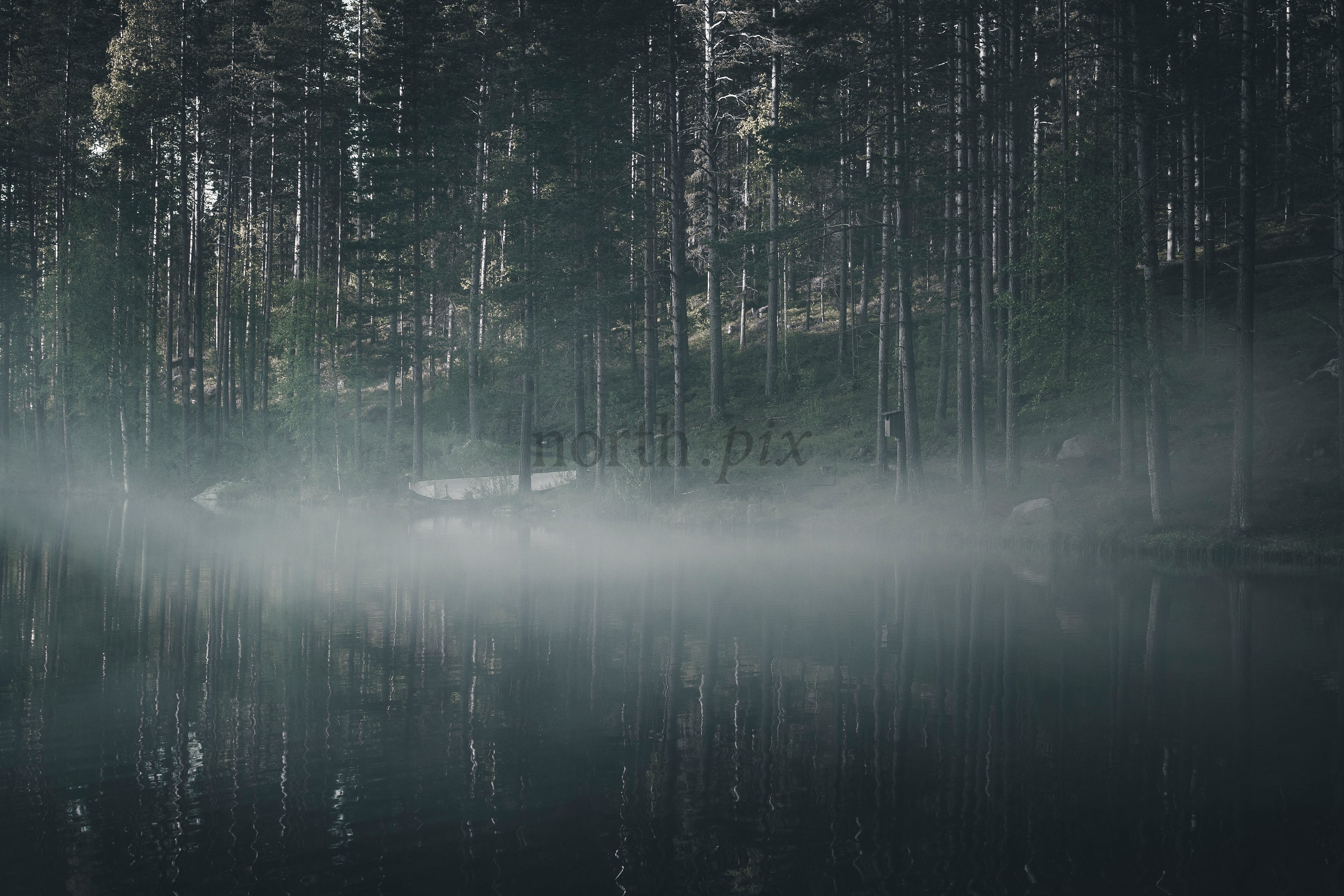 Boat on foggy lake at dawn