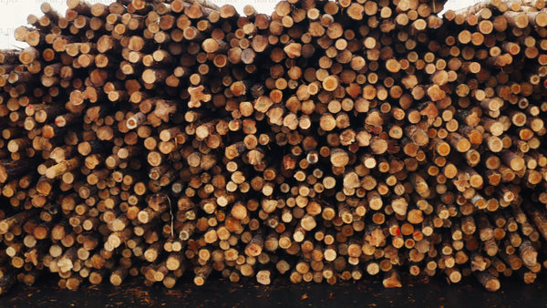 Stacked logs in timber yard: Forestry, wood, lumber, and environment