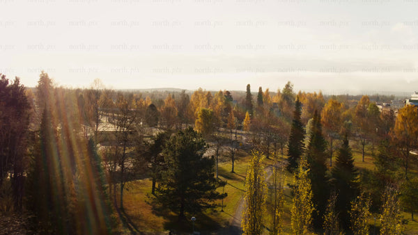 Aerial view of autumn city landscape with golden trees and sunny day
