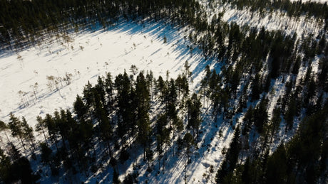 Wind Turbine in Snowy Forest: Aerial View of Renewable Energy in Winter