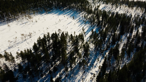 Vindkraftverk i snöig skog: Flygfoto över förnybar energi på vintern
