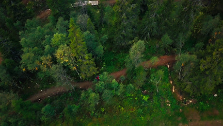 Quad Bike or ATV Rider Descends Forest Trail in Summer