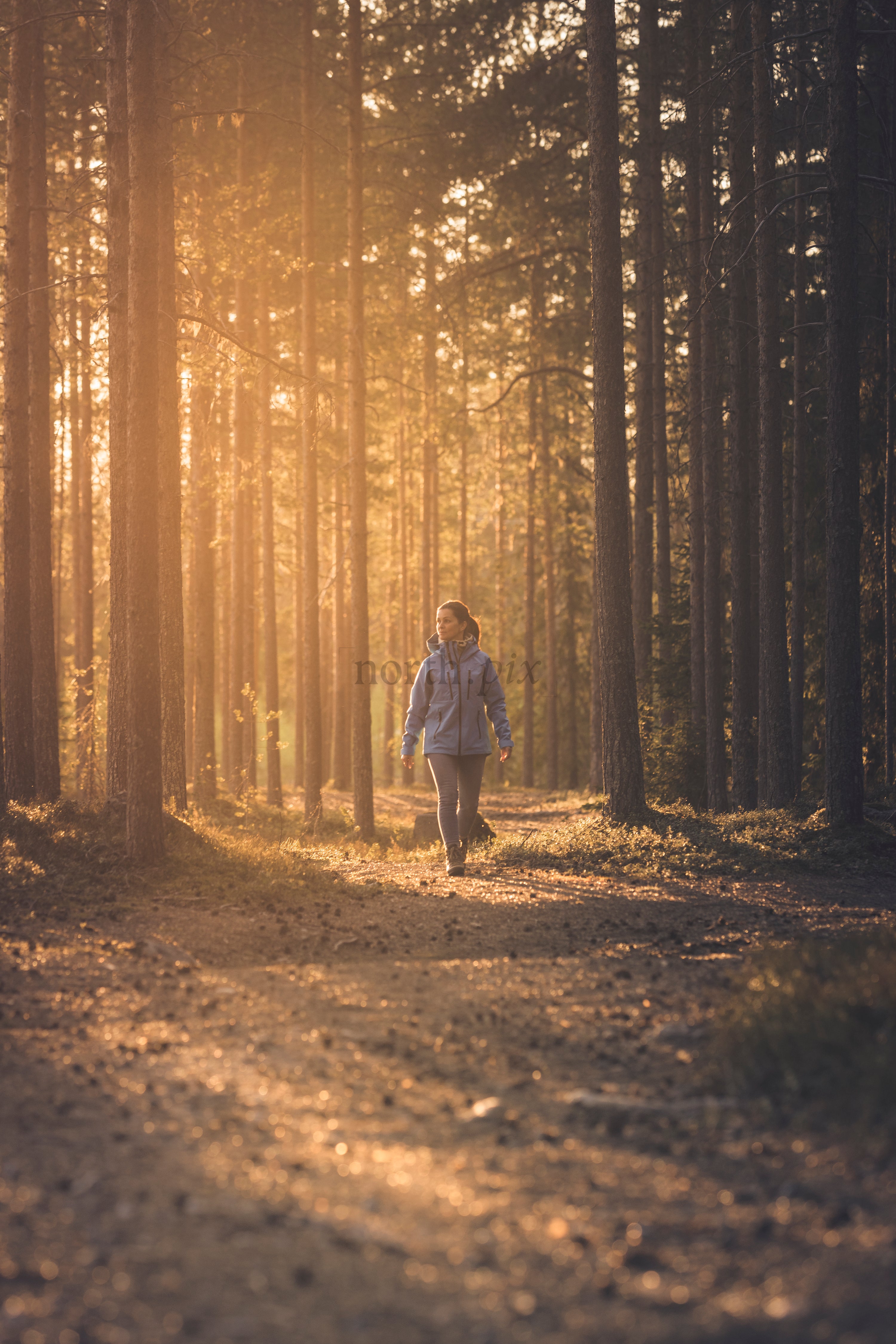 Woman walking on forest path at sunset