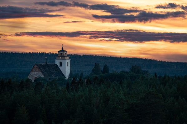 Gammelstad church tower rising above evergreen forest at sunset