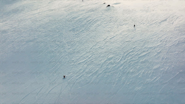 Skiing in Riksgränsen: Aerial view of winter sports