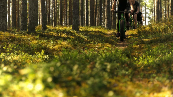 Summer fat biking adventure on a forest trail in Luleå