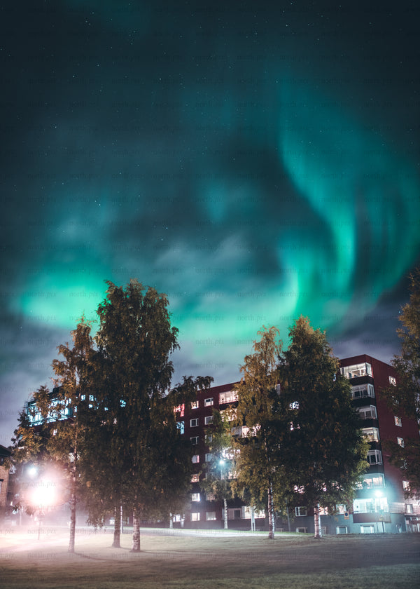 Northern Lights over apartment building and birch trees
