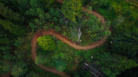 Mountain Biker Riding Downhill on Winding Forest Trail in Summer