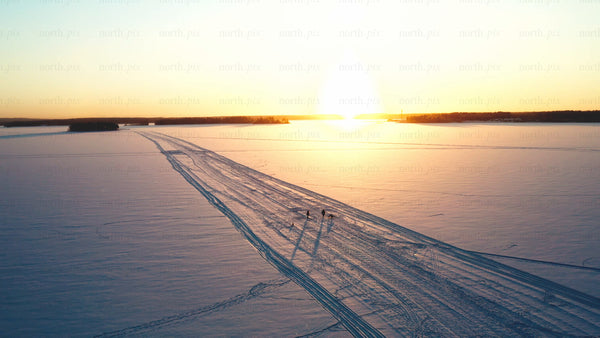 Winter sunset over frozen lake in Luleå: People walking dogs - aerial drone footage