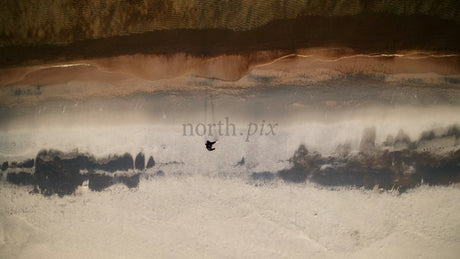 Winter Beach Walk: Aerial Drone View of Person in Skvalpen Archipelago, Lulea, Sweden