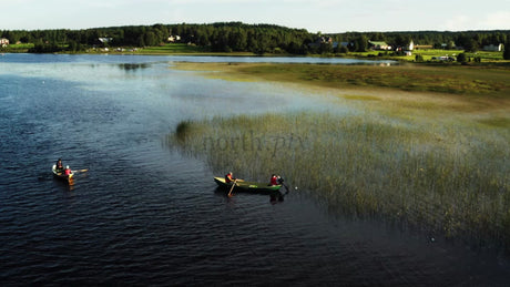 Summer Evening Crayfish Fishing in Prästholm, Luleå, Sweden