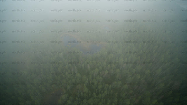 Wind turbines in a foggy forest: Aerial view of renewable energy in Haraholmen