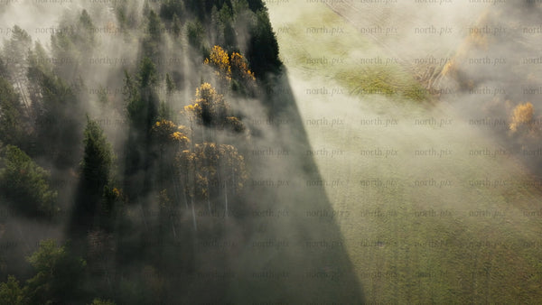 Aerial view of misty autumn forest and green field in foggy morning