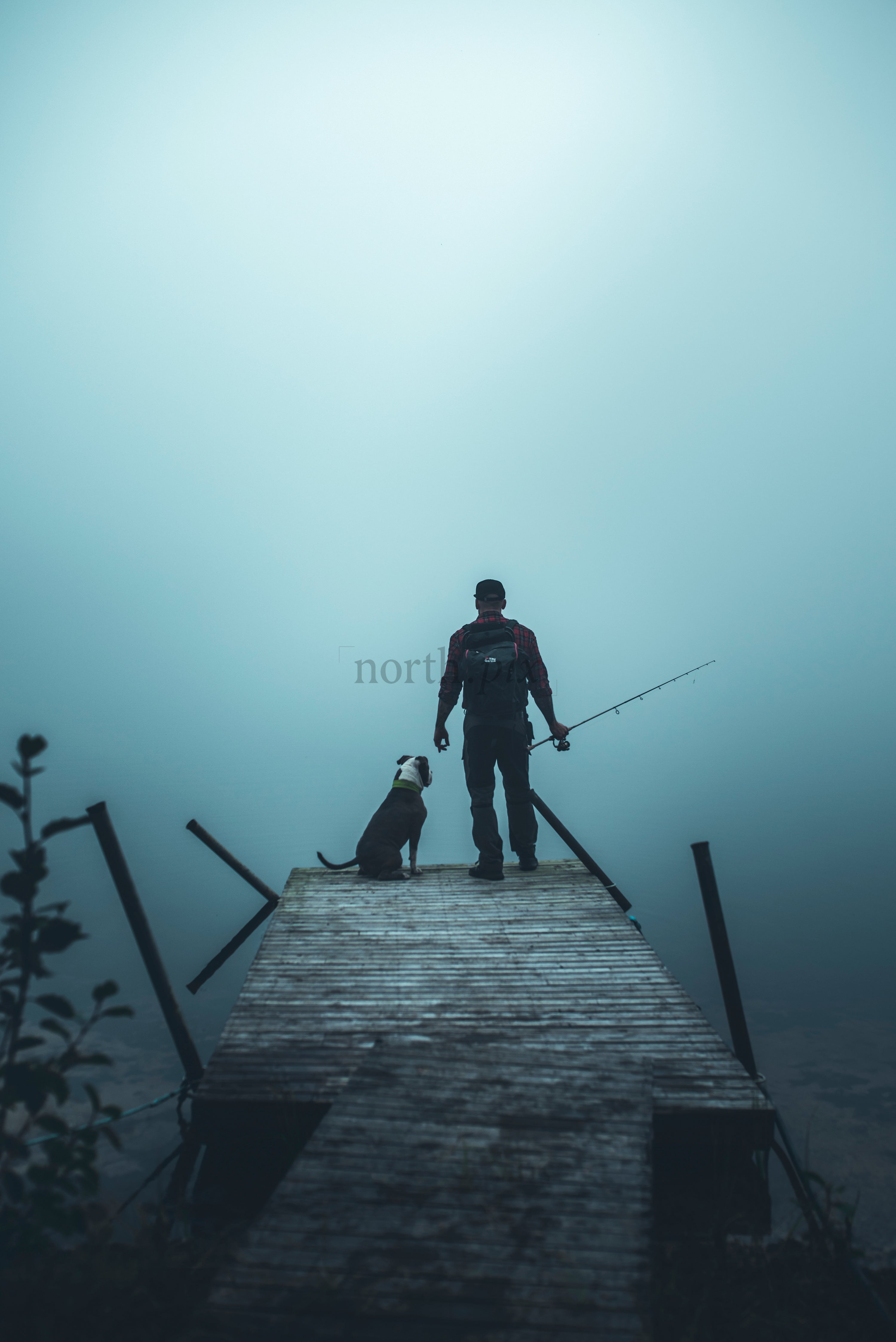 Man fishing from dock with dog in fog