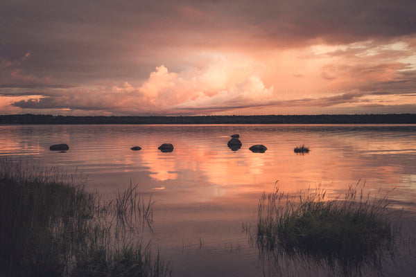 Rocks and grasses along a lake at sunset