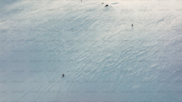 Skiing in Riksgränsen: Aerial view of winter sports