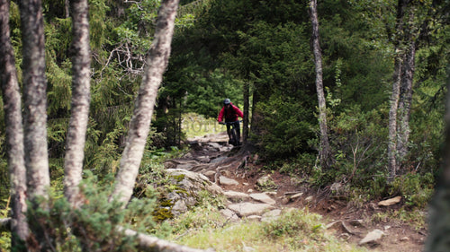 Man cyklar nerför en skogsstig på en mountainbike