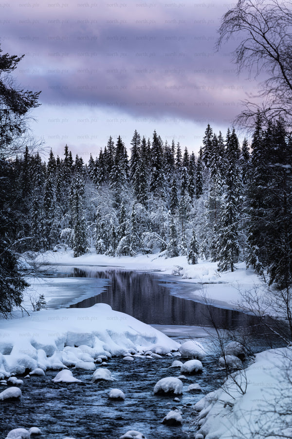 Snow-covered river winding through spruce forest at twilight