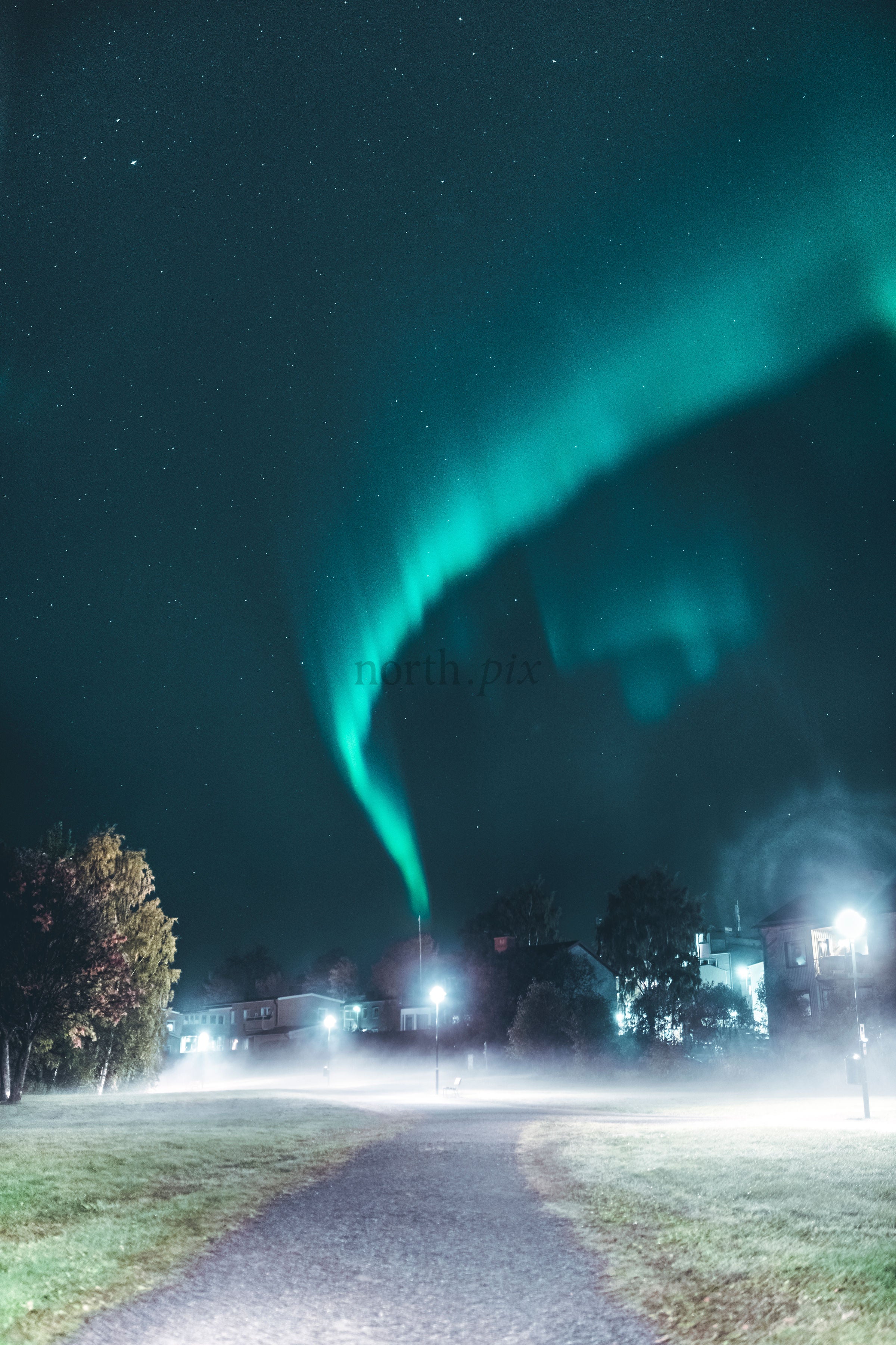 Northern lights over suburban park at night