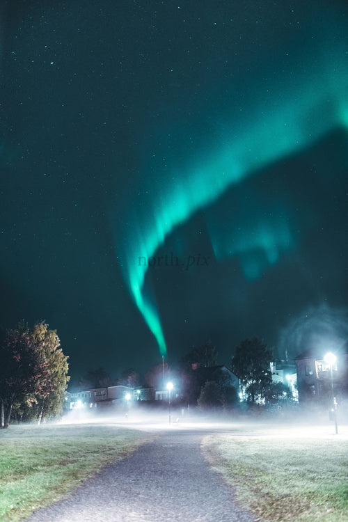 Northern lights over suburban park at night