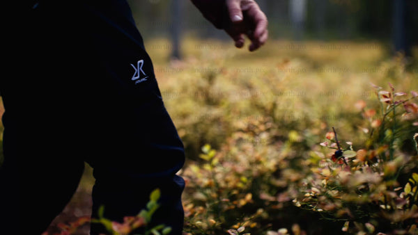 Picking berries in an autumn forest in Luleå