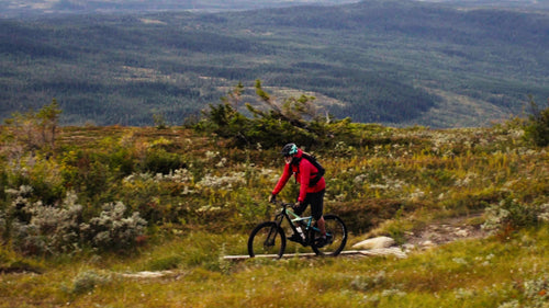 Mountainbiker åker utför på naturskön bergsstig