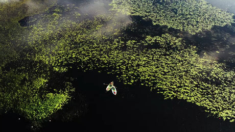 Foggy Summer Morning Fishing on a Lake Covered in Lily Pads in Luleå, Sweden