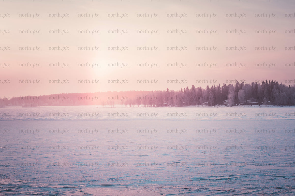 Frozen lake with treeline and low sun on horizon