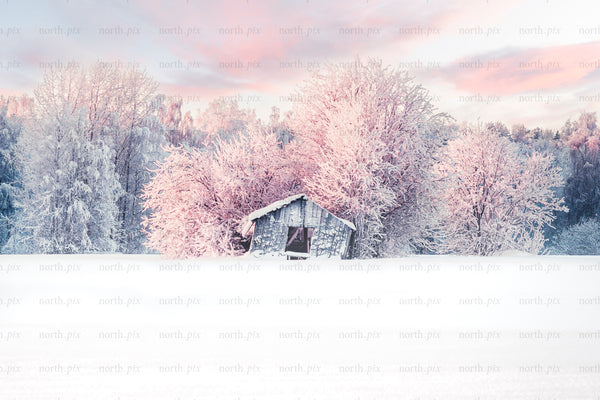 Leaning wooden shed in snowy field at sunrise