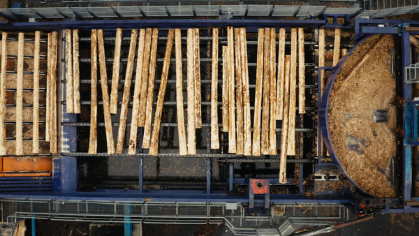 Aerial view of log processing in a modern sawmill: Timber industry and forestry