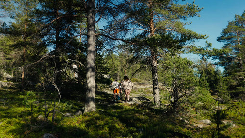 Sommarvandring i Luleå skärgård: Grupputforskning av solig skogsstig