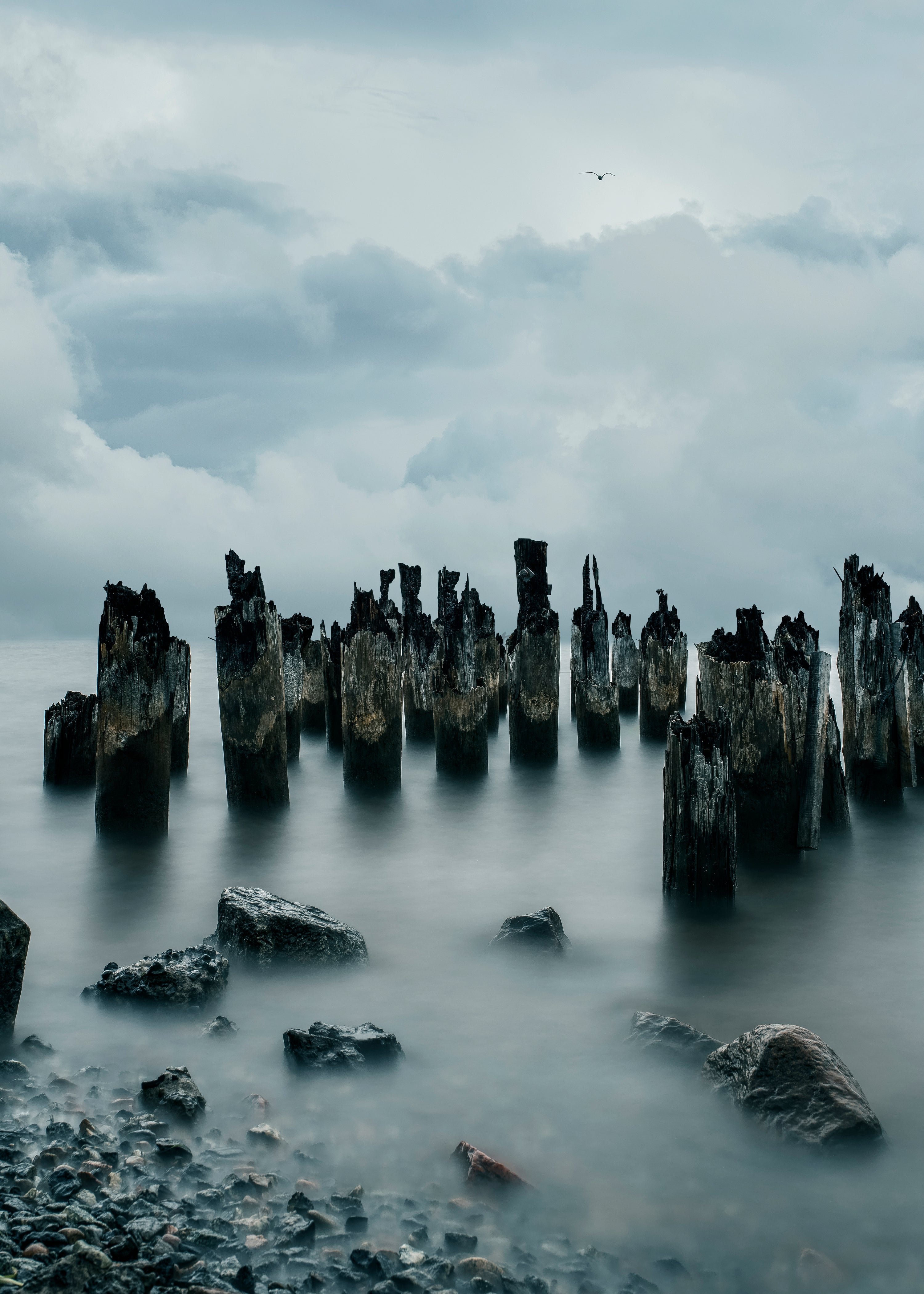 Weathered wooden pilings on rocky shore under cloudy sky