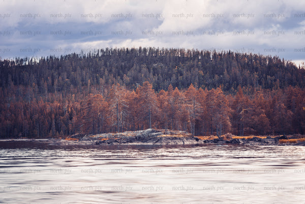 Autumn forest island on rocky river shoreline