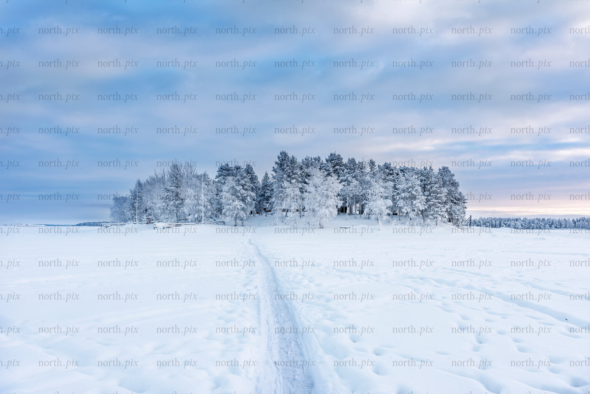 Snötäckt ö "Gråsjälören"