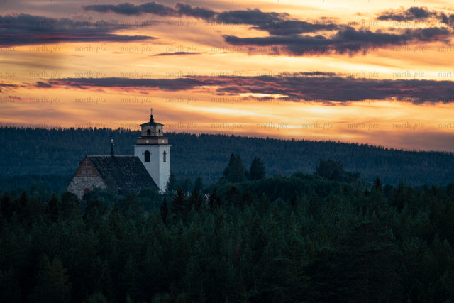 Gammelstad church tower rising above evergreen forest at sunset