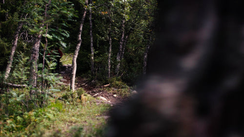 Mountainbiker på utförsbacke bredvid vattenfall på sommaren
