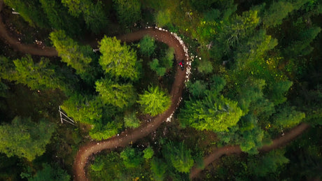 Mountain Biker on Downhill Forest Trail in Summer