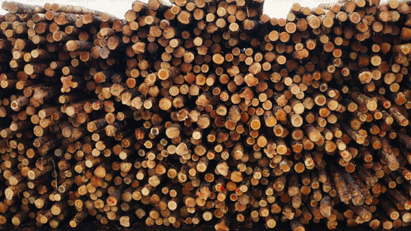 Forest industry logs stacked high: Forestry, logging, and timber background