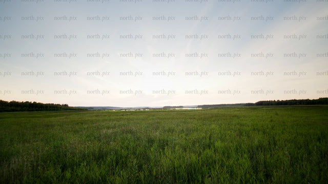 Flying over green meadow at evening, summer nature landscape with lake or river