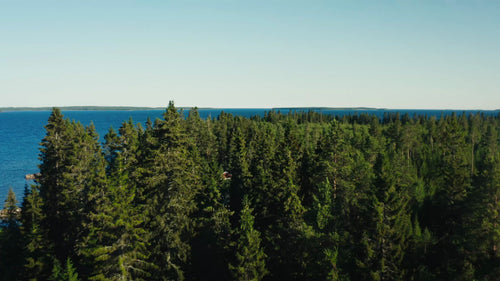 Sommar i Luleå skärgård: Drönarbild av kustskog och lugna vatten