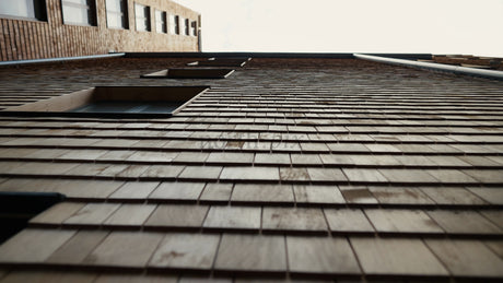 Modern Wood Building Facade: Low Angle Tilt Revealing Architectural Details and Texture