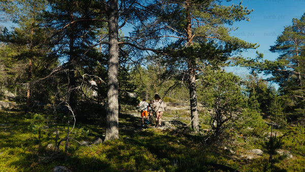 Summer hike in Luleå archipelago: Group exploring sunny forest trail