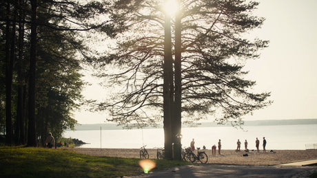 Summer in Lulea: Friends Enjoying a Sunny Beach in Sweden